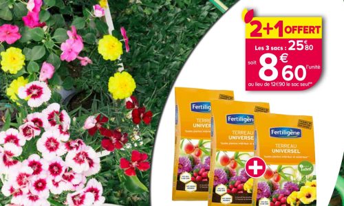 Catalogue-Printemps Catalogue-Printemps